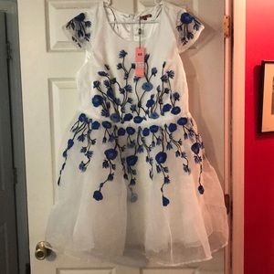 White and blue embroidered dress